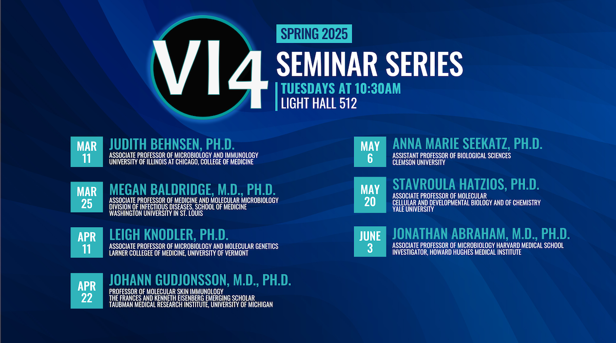 Spring Summer VI4 Seminar Series dates and speakers