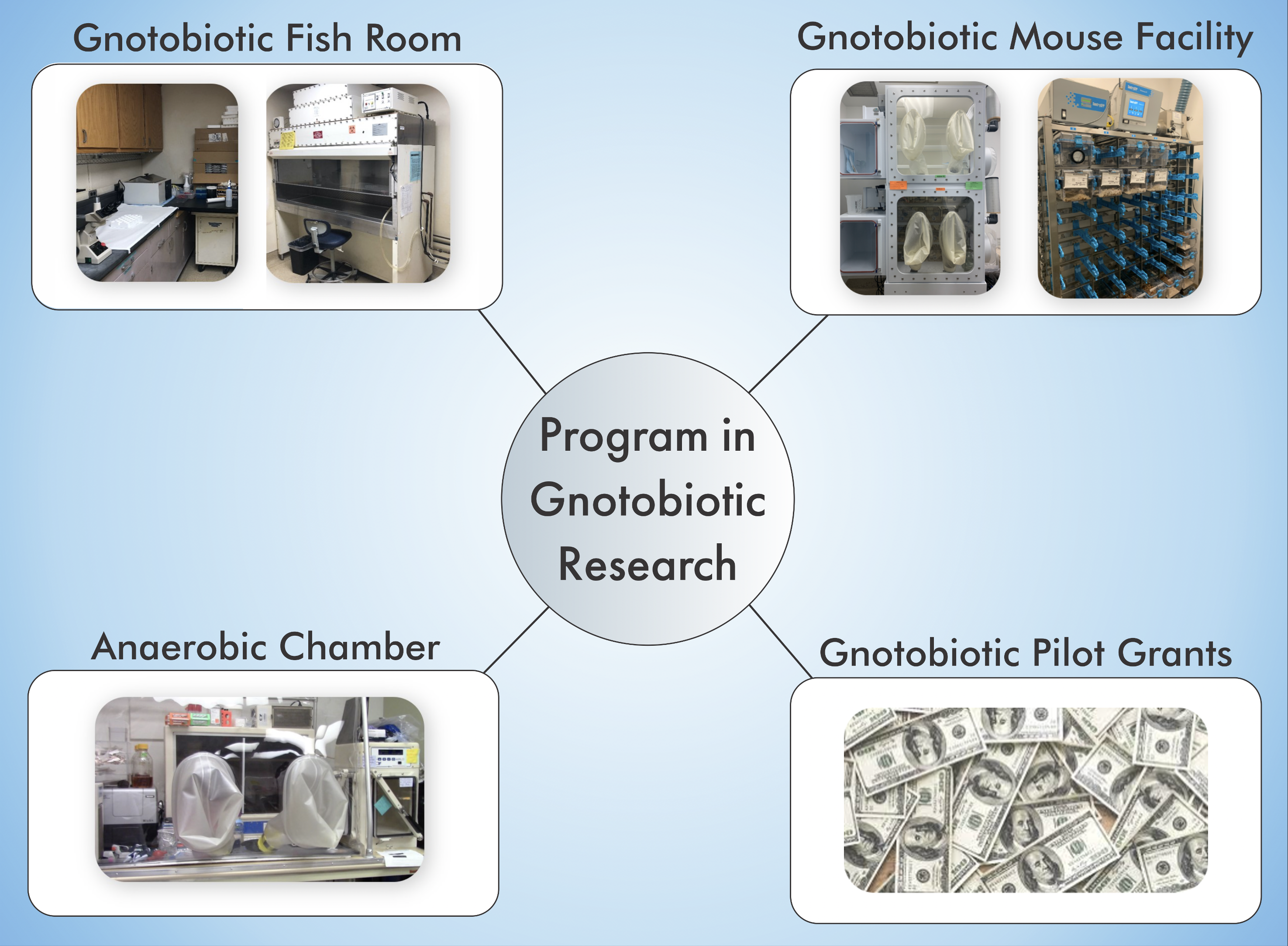 Program in Gnotobiotic Research