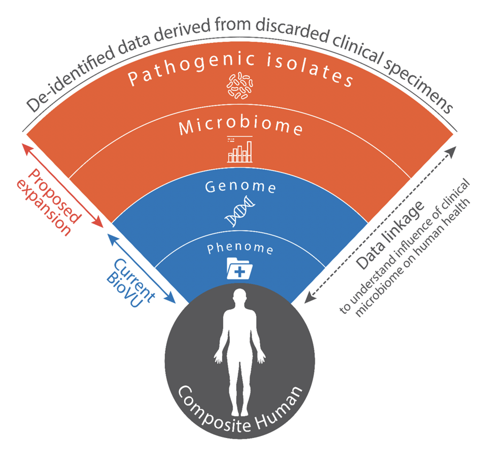 MicroVU Diagram