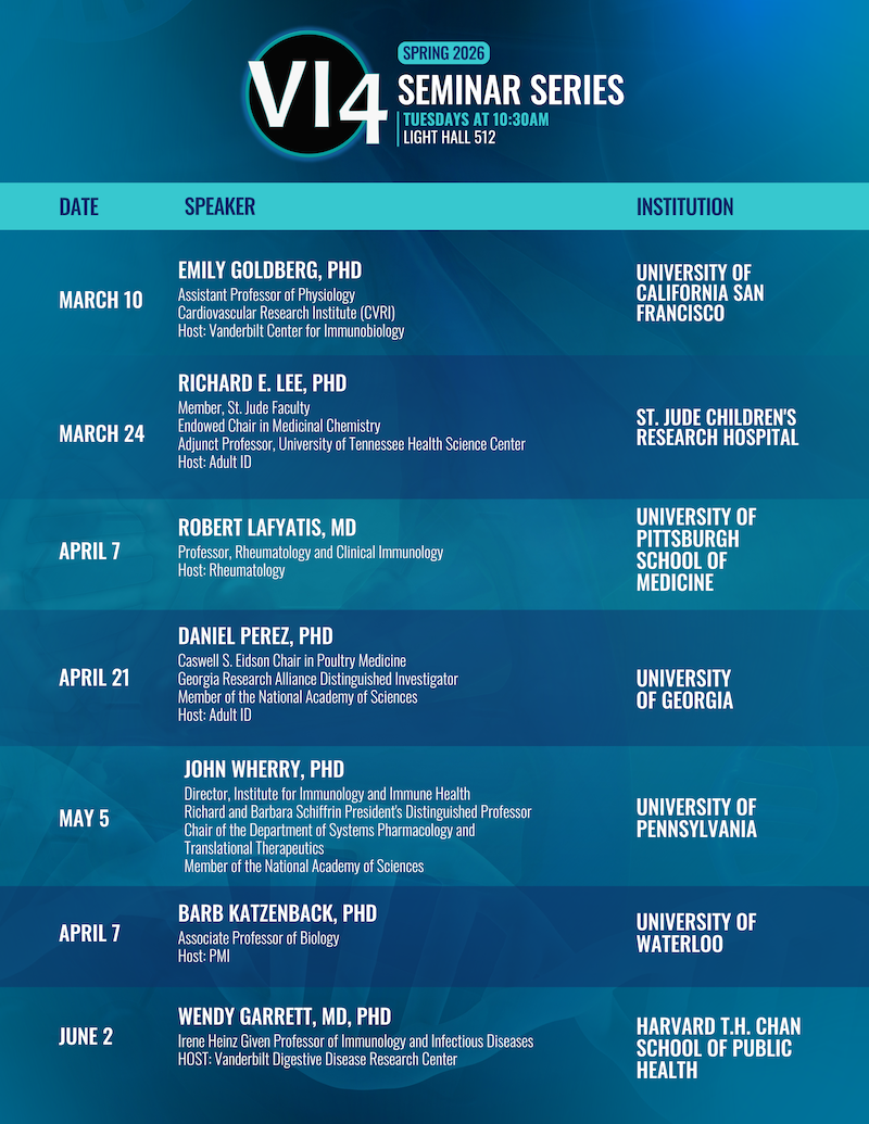 VI4 seminar series spring 2026